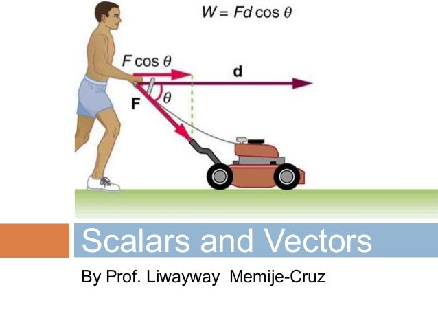 Scalars and Vectors