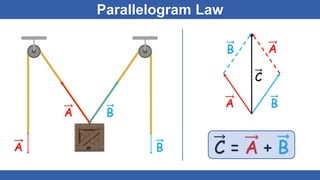 Parallelogram Law
A B
A B
A B
B A
C
C = A + B
 