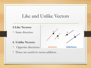 Scalars_and_Vectors_with_Types_of_Vectors.pptx
