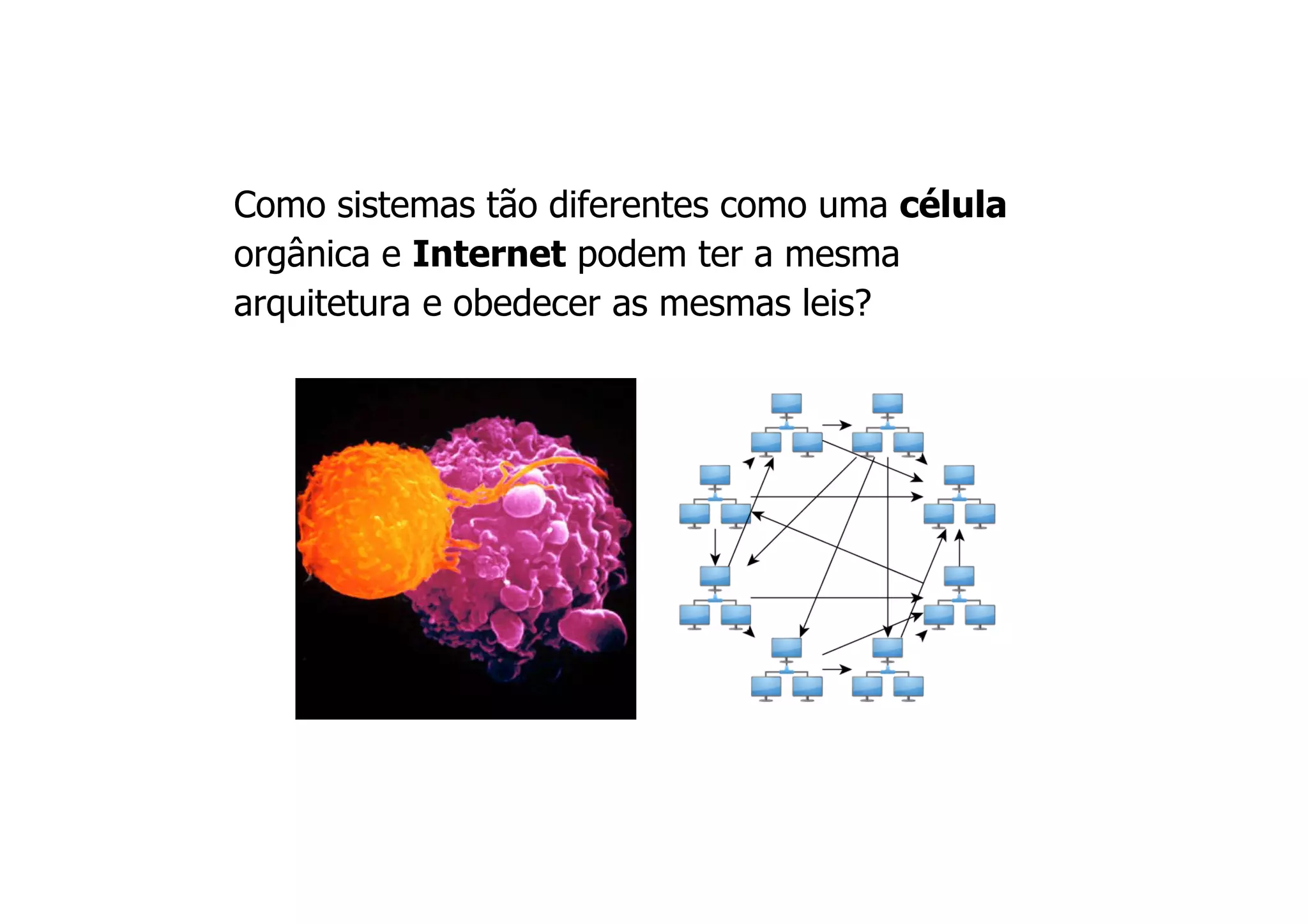 Como sistemas tão diferentes como uma célula
orgânica e Internet podem ter a mesma
arquitetura e obedecer as mesmas leis?
 