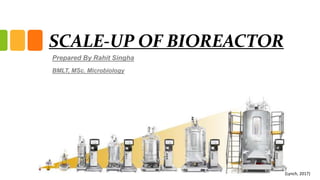 SCALE-UP OF BIOREACTOR
Prepared By Rahit Singha
BMLT, MSc. Microbiology
(Lynch, 2017)
 