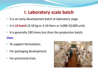 Batch Scale Up Comprehensive Guide to Pharmaceutical Scale-Up and Pilot Plant ...