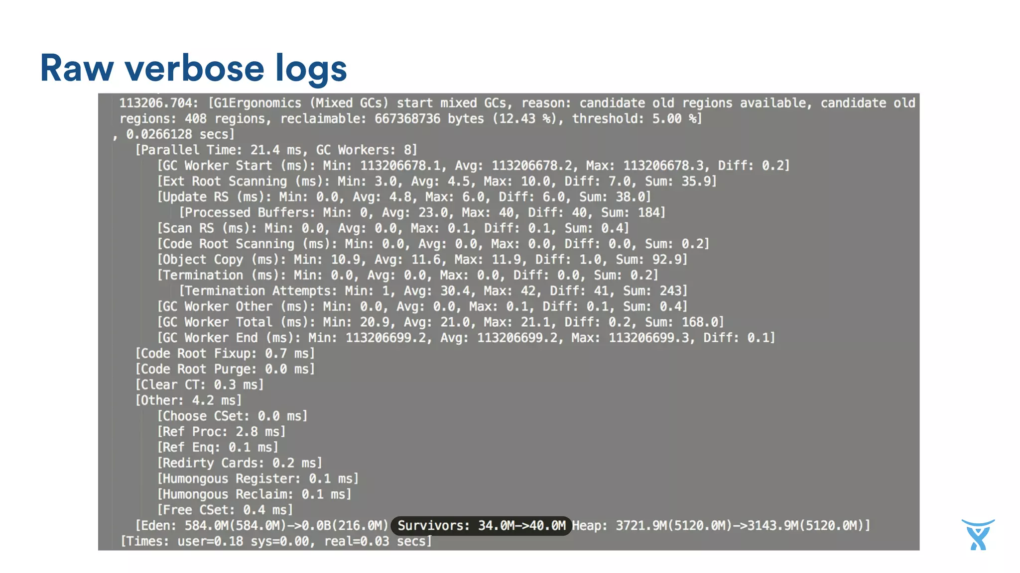 Raw verbose logs
 