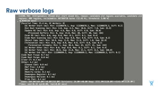 Raw verbose logs
 