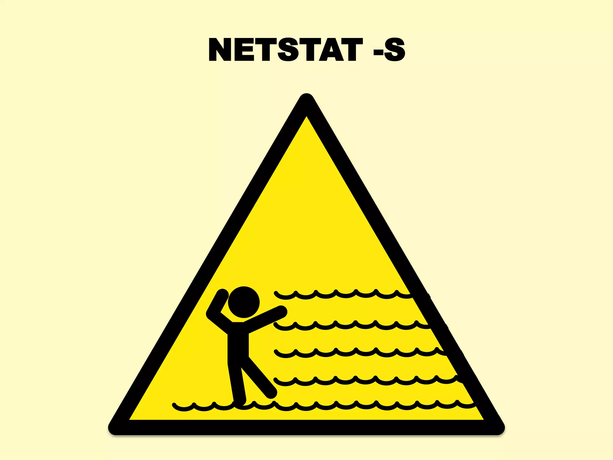 NETSTAT -S
 