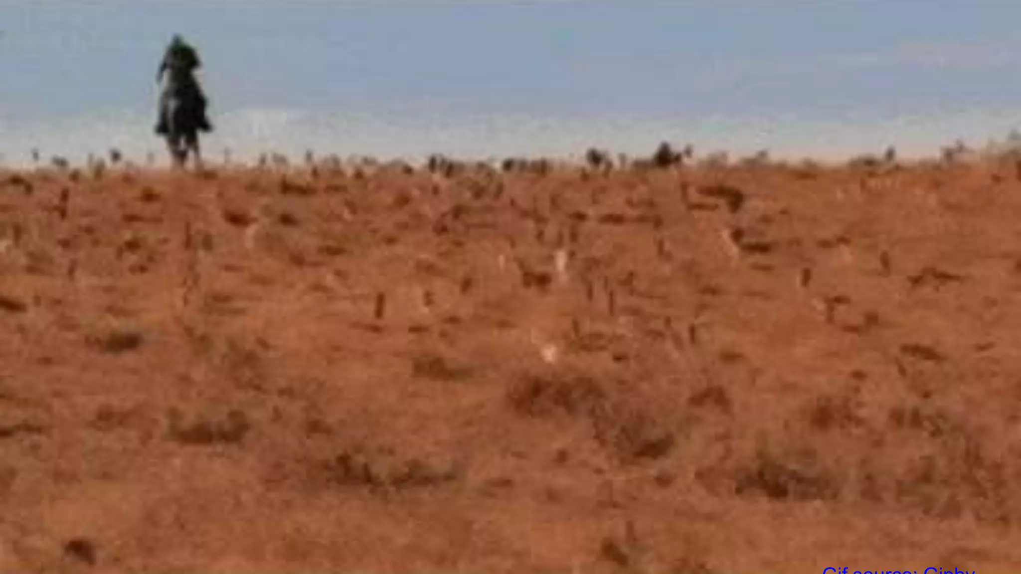 Adopting a framework with a large team
 