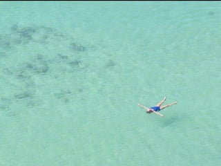 Scale and Proportion DEBEAUFORT