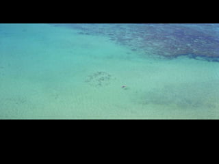 Scale and Proportion DEBEAUFORT