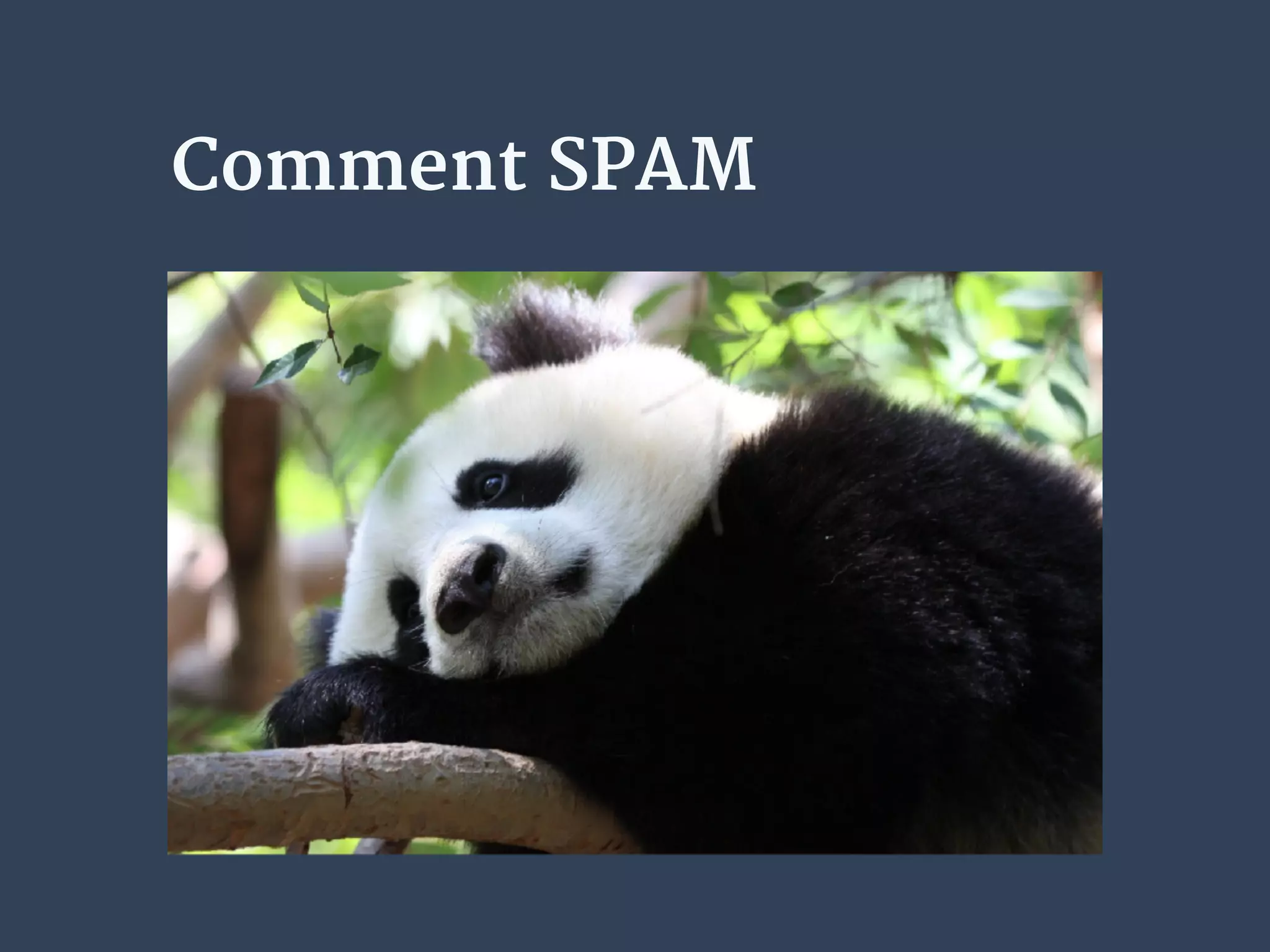 Comment SPAM
 