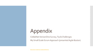 Appendix
CollabNetVersionOne Survey,Tip & Challenges
My Small Scale Scrum Approach (presented Agile Boston)
https://www.slideshare.net/DavidHanson5
 