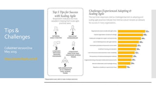 Tips &
Challenges
CollabNetVersionOne
May2019
https://stateofagile.com/#
 