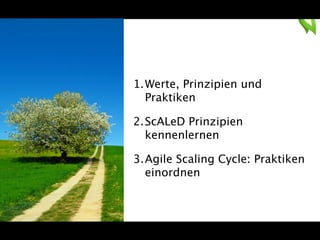 1.Werte, Prinzipien und 
Praktiken 
2.ScALeD Prinzipien 
kennenlernen 
3.Agile Scaling Cycle: Praktiken 
einordnen 
 