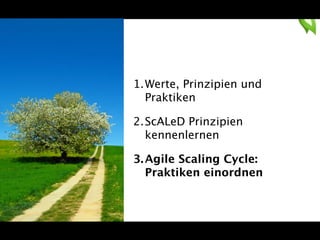 1.Werte, Prinzipien und 
Praktiken 
2.ScALeD Prinzipien 
kennenlernen 
3. Agile Scaling Cycle: 
Praktiken einordnen 
 