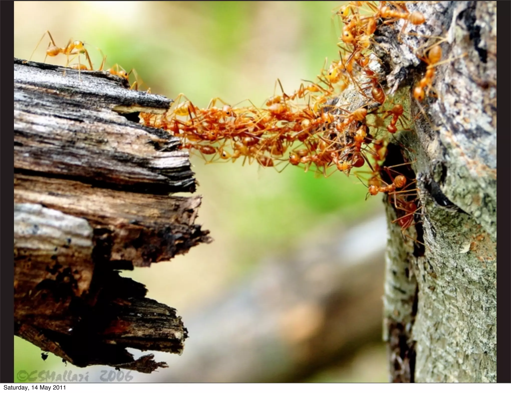 Saturday, 14 May 2011
 