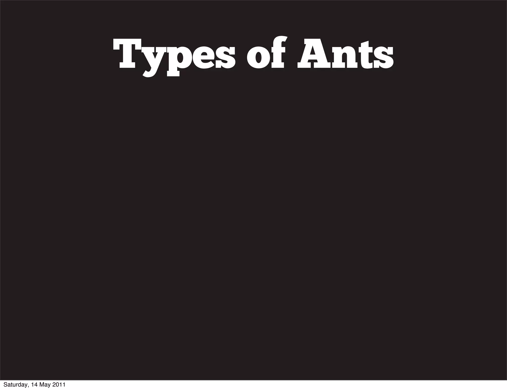 Types of Ants




Saturday, 14 May 2011
 