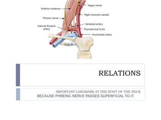 RELATIONS
IMPORTANT LANDMARK AT THE ROOT OF THE NECK
BECAUSE PHRENIC NERVE PASSES SUPERFICIAL TO IT.
 