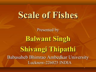 Scale of FishesScale of Fishes
Presented byPresented by
Balwant SinghBalwant Singh
Shivangi ThipathiShivangi Thipathi
Babasaheb Bhimrao Ambedkar UniversityBabasaheb Bhimrao Ambedkar University
Lucknow-226025 INDIALucknow-226025 INDIA
 