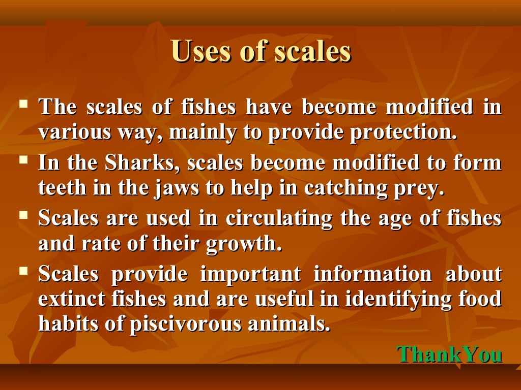 Scale of fishes
