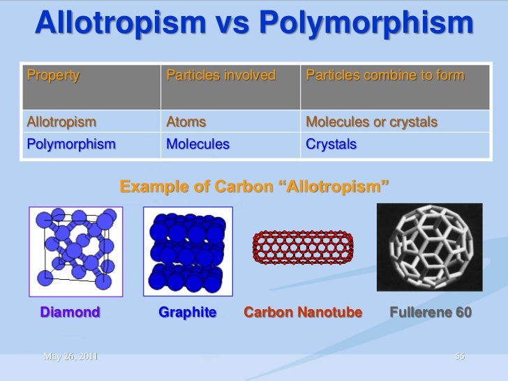 Scale of Science In Pharmaceutical Development