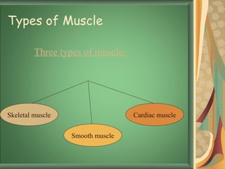 Types of Muscle Three types of muscle: Skeletal muscle Smooth muscle Cardiac muscle 