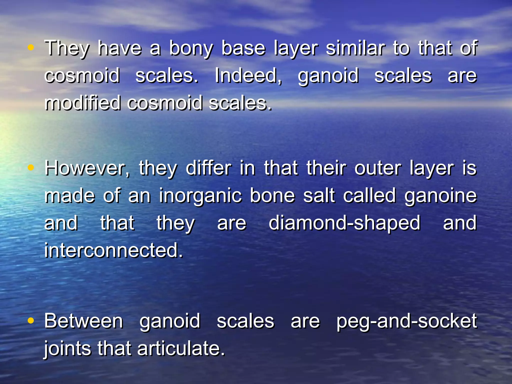 • They have a bony base layer similar to that ofThey have a bony base layer similar to that of
cosmoid scales. Indeed, ganoid scales arecosmoid scales. Indeed, ganoid scales are
modified cosmoid scales.modified cosmoid scales.
• However, they differ in that their outer layer isHowever, they differ in that their outer layer is
made of an inorganic bone salt called ganoinemade of an inorganic bone salt called ganoine
and that they are diamond-shaped andand that they are diamond-shaped and
interconnected.interconnected.
• Between ganoid scales are peg-and-socketBetween ganoid scales are peg-and-socket
joints that articulate.joints that articulate.
 