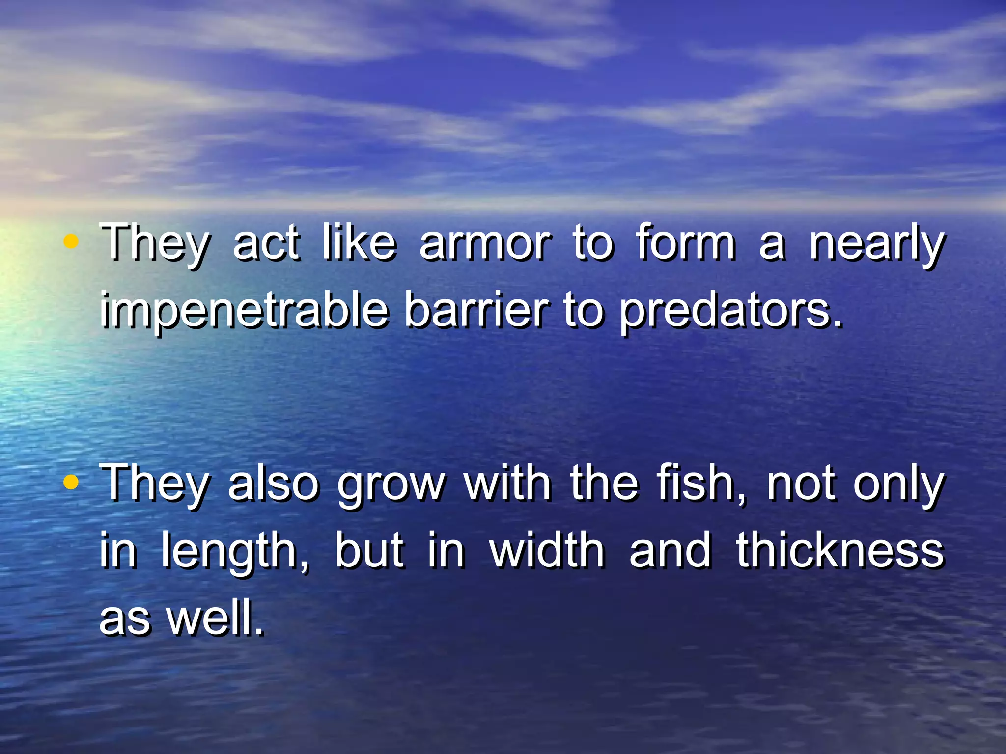• They act like armor to form a nearlyThey act like armor to form a nearly
impenetrable barrier to predators.impenetrable barrier to predators.
• They also grow with the fish, not onlyThey also grow with the fish, not only
in length, but in width and thicknessin length, but in width and thickness
as well.as well.
 
