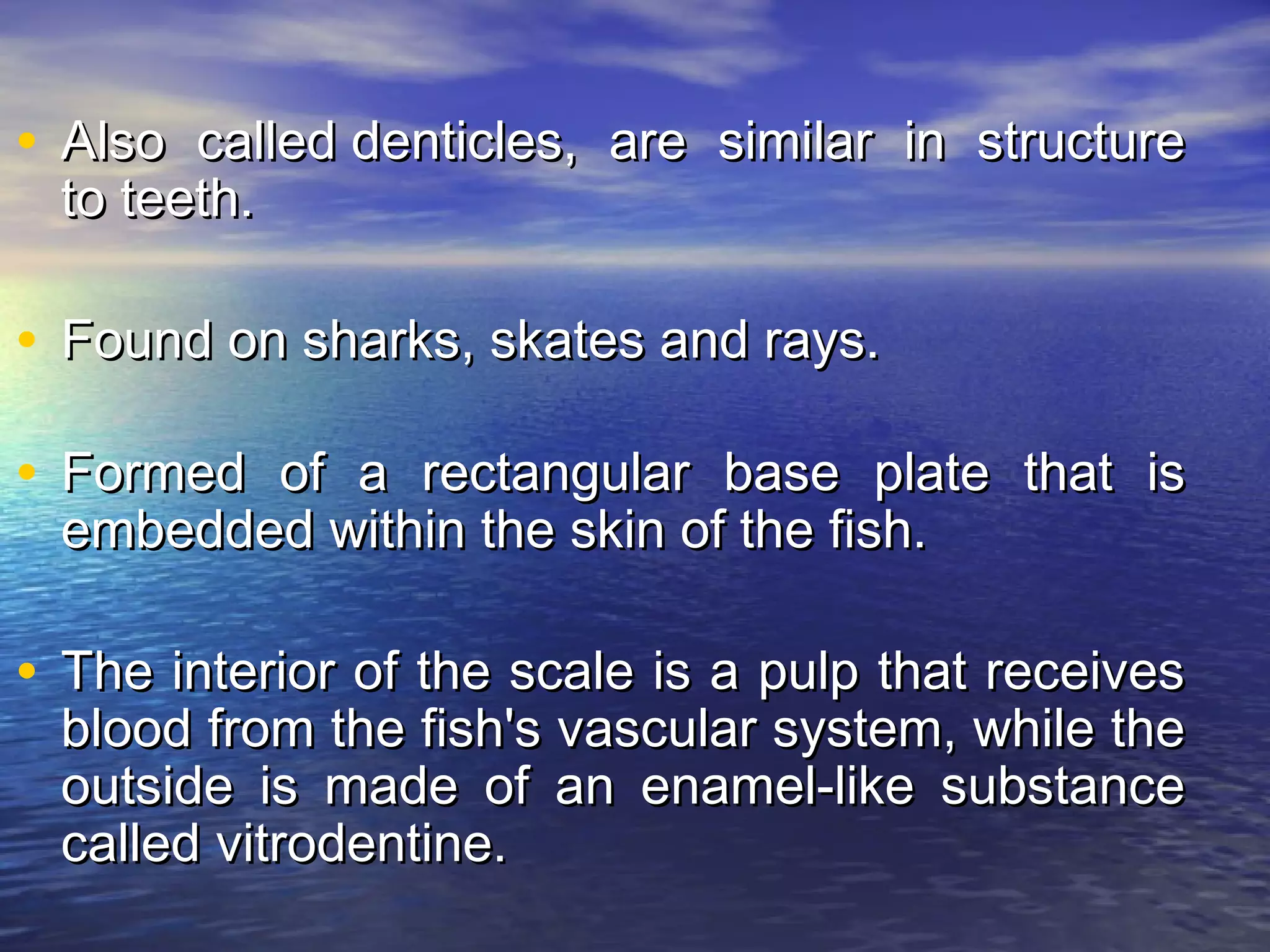 • Also called denticles, are similar in structureAlso called denticles, are similar in structure
to teeth.to teeth.
• Found on sharks, skates and rays.Found on sharks, skates and rays.
• Formed of a rectangular base plate that isFormed of a rectangular base plate that is
embedded within the skin of the fish.embedded within the skin of the fish.
• The interior of the scale is a pulp that receivesThe interior of the scale is a pulp that receives
blood from the fish's vascular system, while theblood from the fish's vascular system, while the
outside is made of an enamel-like substanceoutside is made of an enamel-like substance
called vitrodentine.called vitrodentine.
 