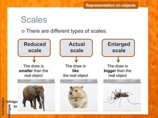 Scales
 There are different types of scales:
Representation on objects
Reduced
scale
The draw is
smaller than the
real object
Actual
scale
The draw is
like
the real object
Enlarged
scale
The draw is
bigger than the
real object
 