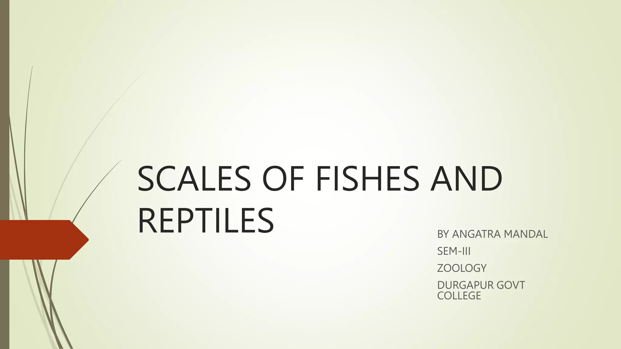 SCALES OF FISHES AND REPTILES.pptx