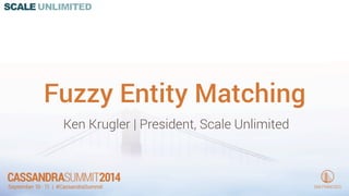 Fuzzy Entity Matching 
Ken Krugler | President, Scale Unlimited 
 