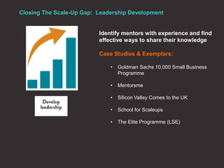 Closing The Scale-Up Gap: Leadership Development
Identify mentors with experience and find
effective ways to share their knowledge
Case Studies & Exemplars:
• Goldman Sachs 10,000 Small Business
Programme
• Mentorsme
• Silicon Valley Comes to the UK
• School for Scaleups
• The Elite Programme (LSE)
 