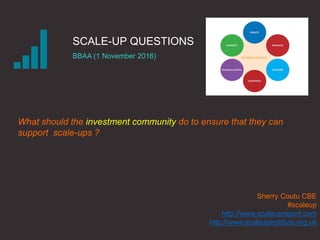 SCALE-UP QUESTIONS
BBAA (1 November 2016)
Sherry Coutu CBE
#scaleup
http://www.scaleupreport.com
http://www.scaleupinstitute.org.uk
What should the investment community do to ensure that they can
support scale-ups ?
 