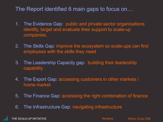 The Report identified 6 main gaps to focus on…
THE SCALE-UP INITIATIVE Sherry Coutu CBE#scaleup
1. The Evidence Gap: public and private sector organisations
identify, target and evaluate their support to scale-up
companies.
2. The Skills Gap: improve the ecosystem so scale-ups can find
employees with the skills they need
3. The Leadership Capacity gap: building their leadership
capability
4. The Export Gap: accessing customers in other markets /
home market
5. The Finance Gap: accessing the right combination of finance
6. The Infrastructure Gap: navigating infrastructure
 