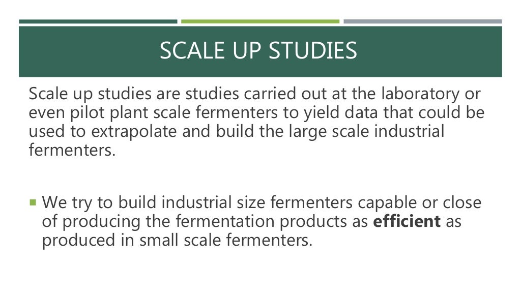 Scale up fermentation process (H.M.Moavia Atique)