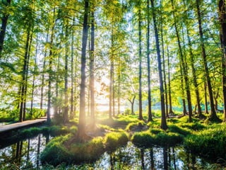 |THE SCALE-UP REPORT ON UK ECONOMIC GROWTH Sherry Coutu CBE
 