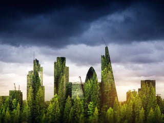 |THE SCALE-UP REPORT ON UK ECONOMIC GROWTH Sherry Coutu CBE
 