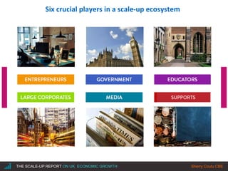 |THE SCALE-UP REPORT ON UK ECONOMIC GROWTH Sherry Coutu CBE
Six crucial players in a scale-up ecosystem
 