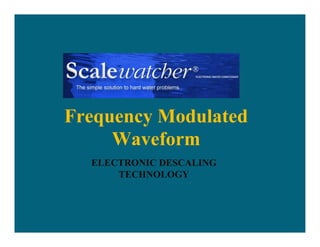 Scalewatcher Installation Scalewatcher presentation | PDF