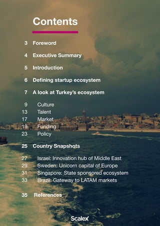 ScaleX building a successful startup ecosystem | PDF