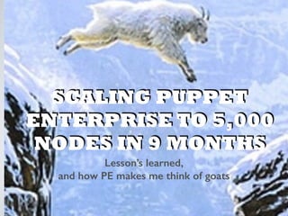 SCALING PUPPET
ENTERPRISE TO 5,000
NODES IN 9 MONTHS
Lesson’s learned,
and how PE makes me think of goats
 