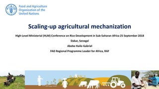 Scaling-up agricultural mechanization
High-Level Ministerial (HLM) Conference on Rice Development in Sub-Saharan Africa 25 September 2018
Dakar, Senegal
Abebe Haile-Gabriel
FAO Regional Programme Leader for Africa, RAF
 