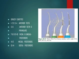  GRACEY CURETTES
 1-2 & 3-4 ANTERIOR TEETH
 5-6 ANTERIOR TEETH &
 PREMOLARS
 7-8 & 9-10 FACIAL & LINGUAL-
 POSTERIORS
 11-12 MESIAL- POSTERIORS
 13-14 DISTAL- POSTERIORS
 