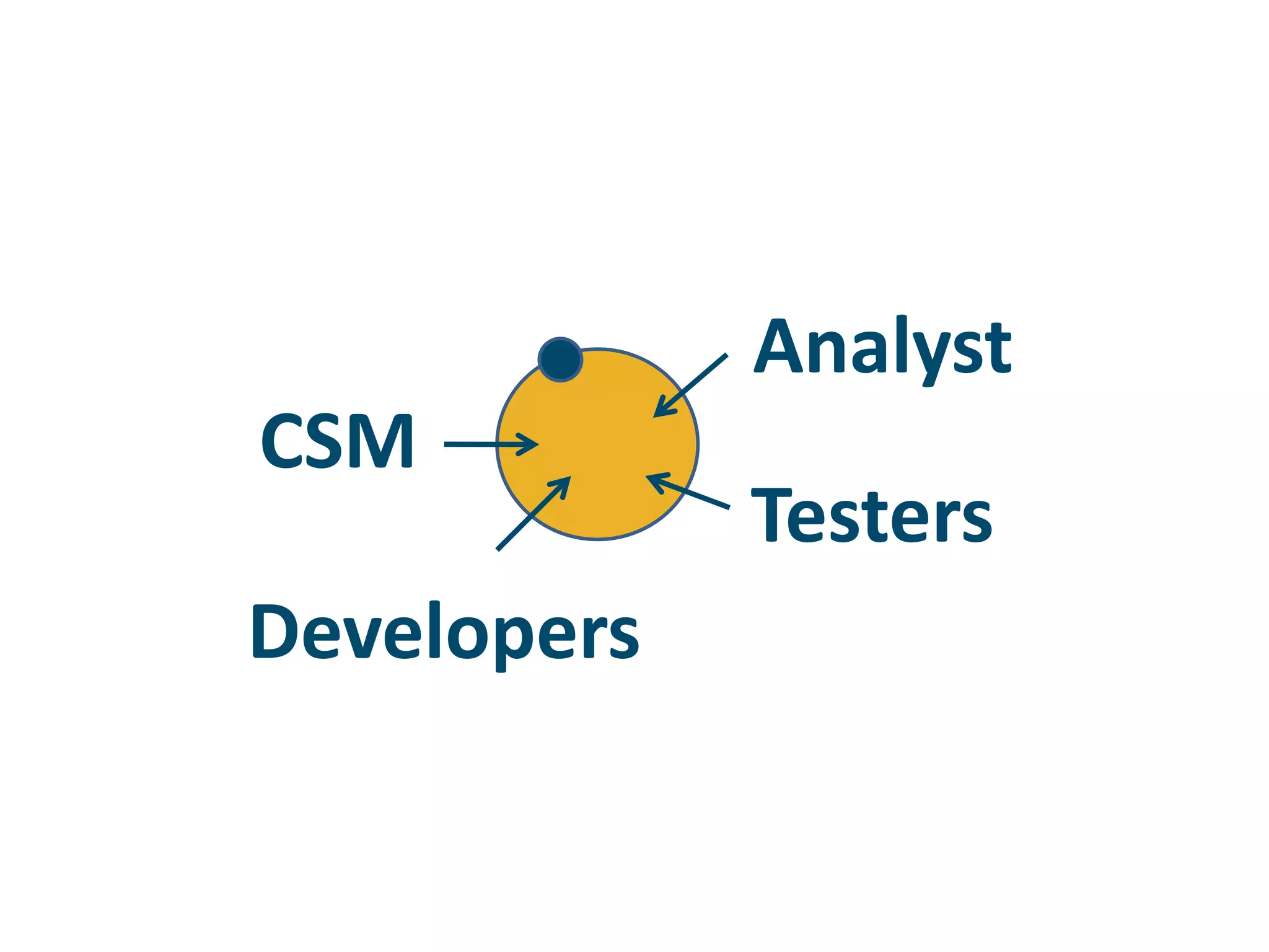 AnalystCSMTestersDevelopers