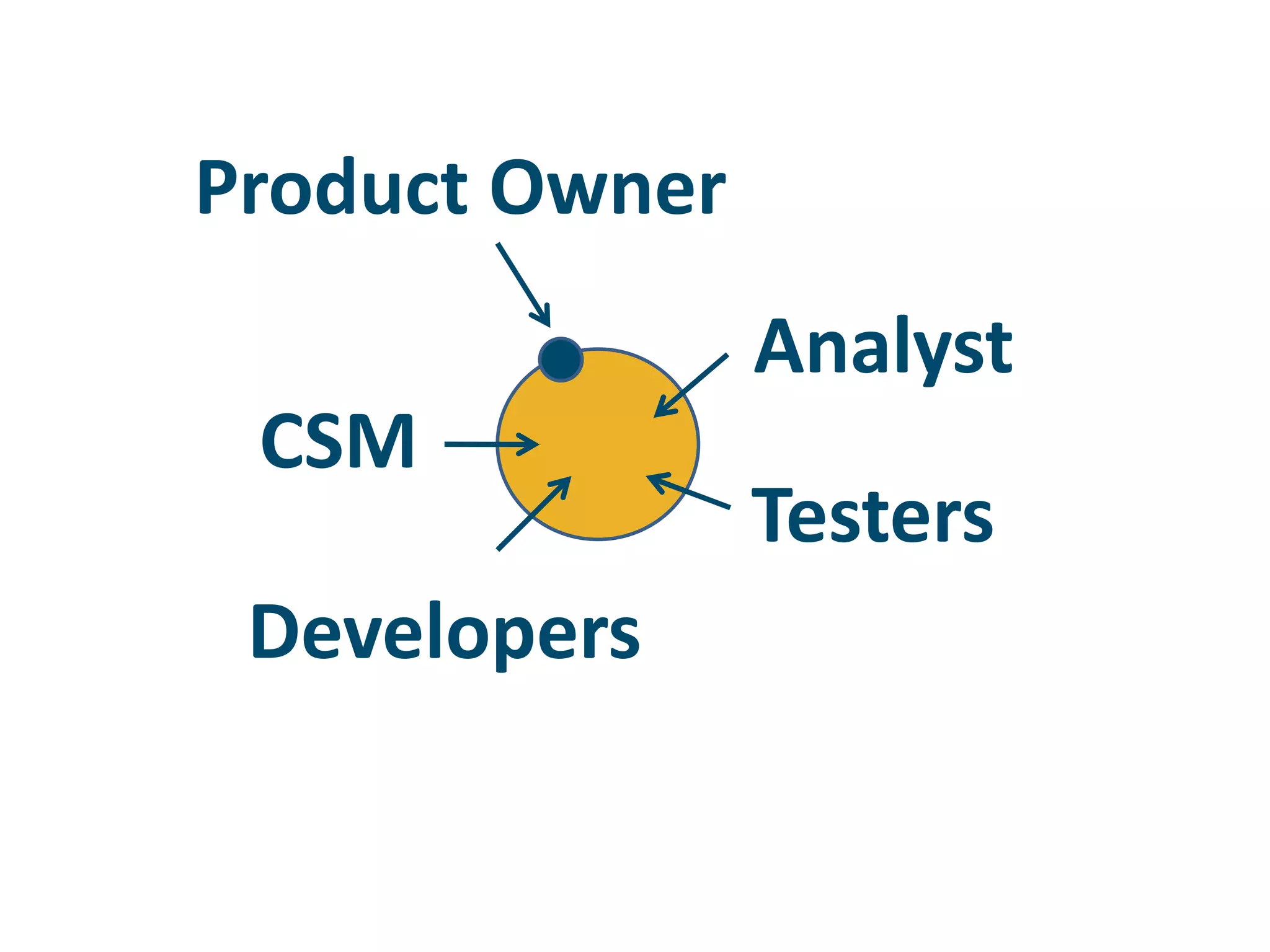 Product OwnerAnalystCSMTestersDevelopers