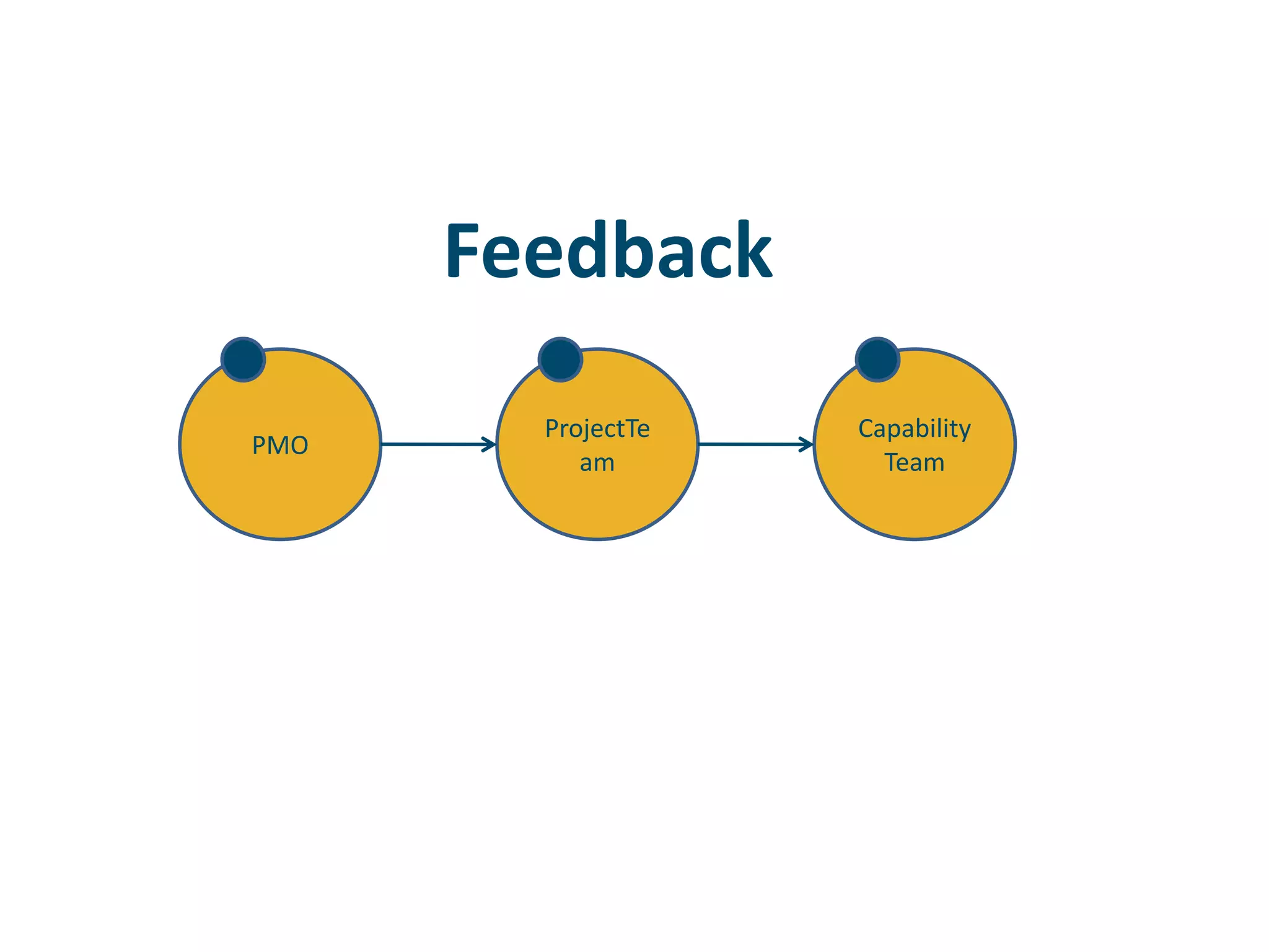 FeedbackCapabilityTeamProjectTeamPMO
