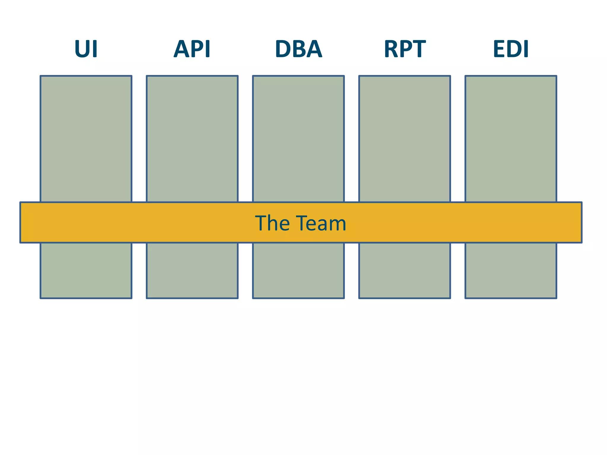 APIDBAUIRPTEDIThe Team
