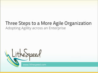 Three Steps to a More Agile Organization
Adopting Agility across an Enterprise

 