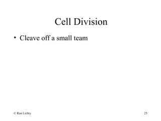 Cell Division
• Cleave off a small team
© Ron Lichty 25
 