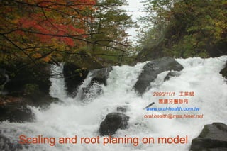 Scaling and root planing on model   2006/11/1  王英斌 雅康牙醫診所 www.oral-health.com.tw   [email_address] 