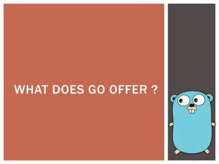 WHAT DOES GO OFFER ?
 